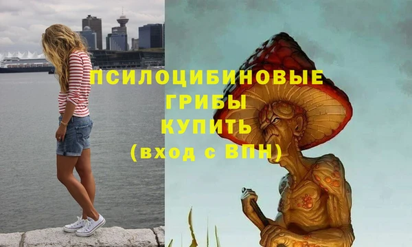 круглые Алзамай
